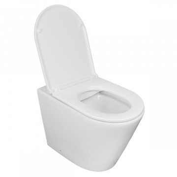 Унитаз приставной Azario Teramo 580х360х430 безободковый, быстросъемное сиденье с микролифтом (AZ-1003DNR)