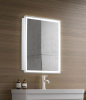 Зеркало-шкаф AZARIO Киото 50 (535х750) c подсветкой и диммером (LED-00002357)