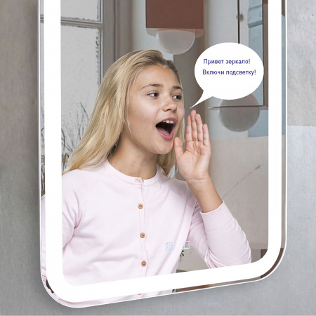 Зеркало AZARIO Мальта-VOICE 550х800 голосовое управление, подогрев, сенсорный выключатель с функцией диммера (LED-00002615)